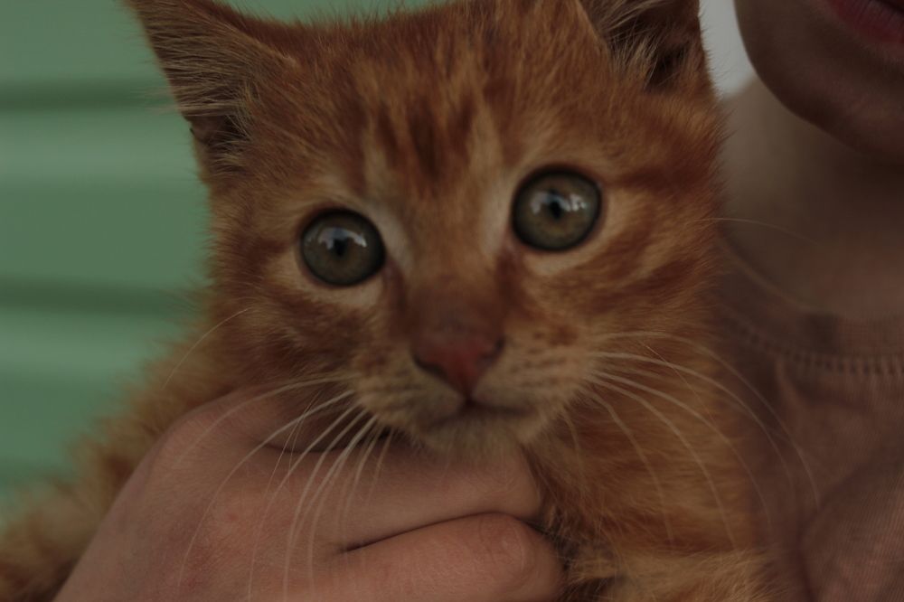 Photograph by Ксения Юргенфельд