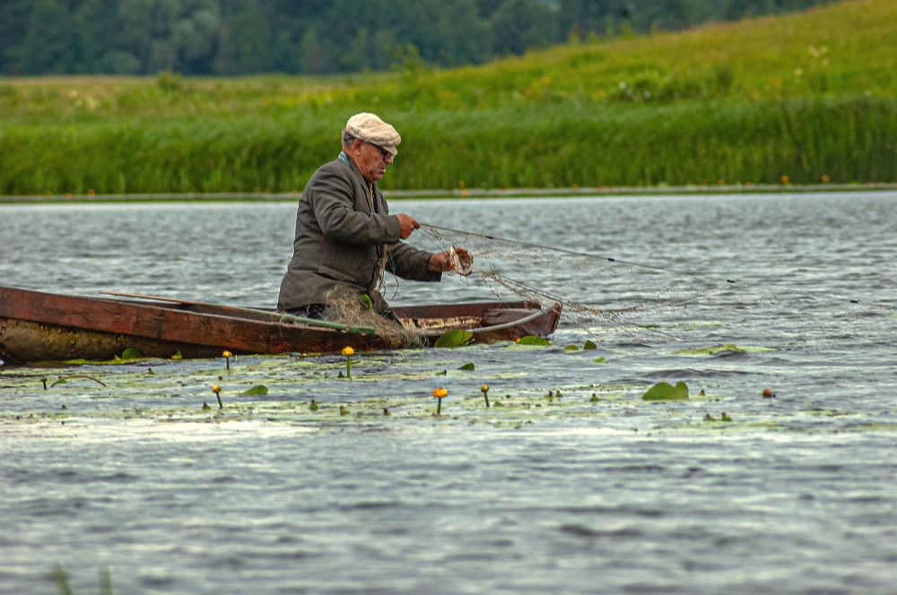 Photograph by Vladimir  Komarov
