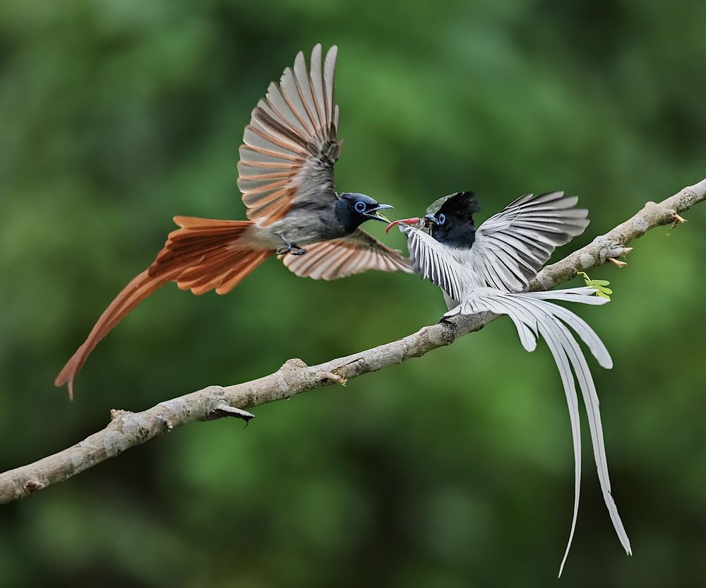Photograph by Kan Chung Wong