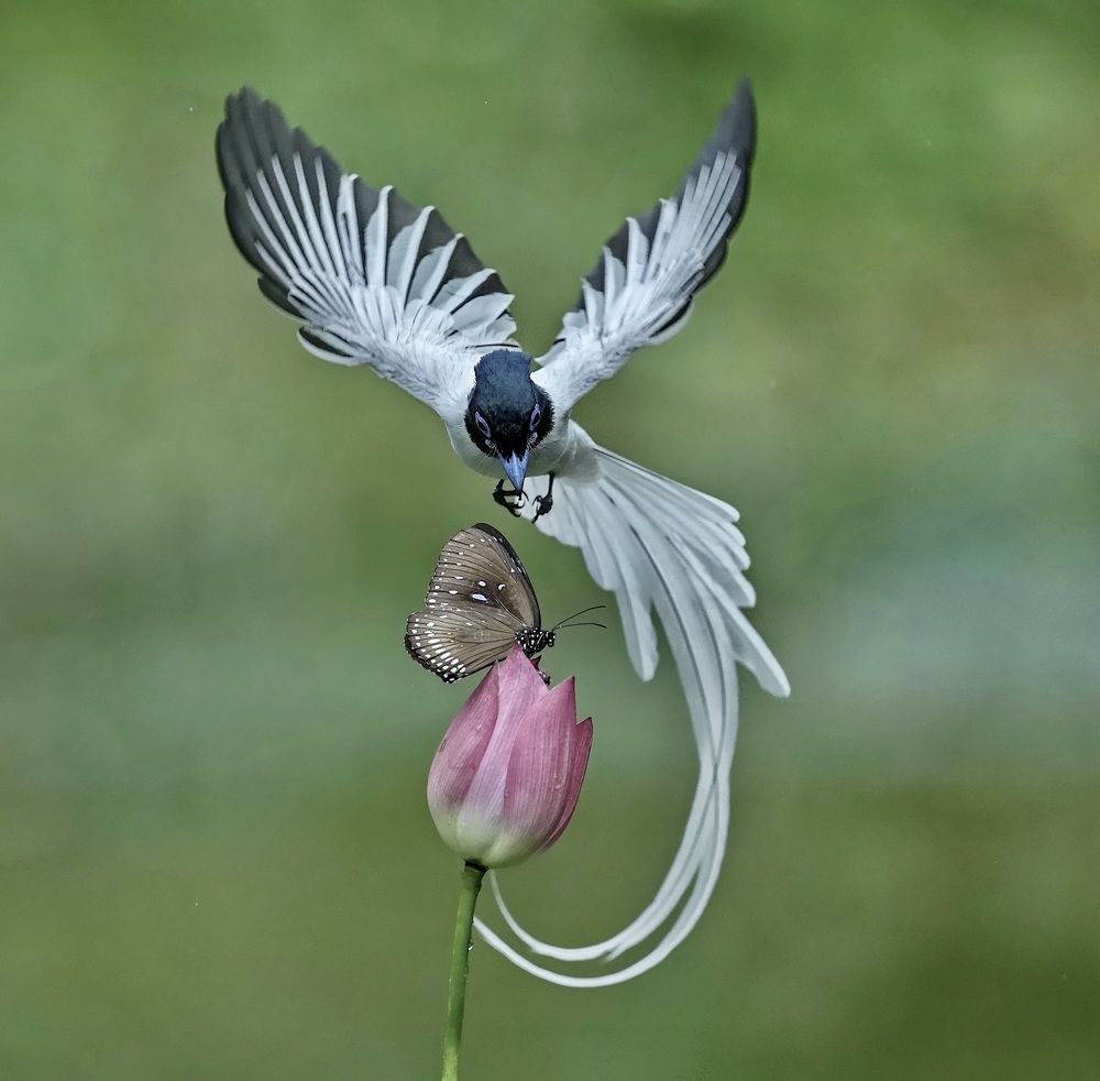 Photograph by Kan Chung Wong