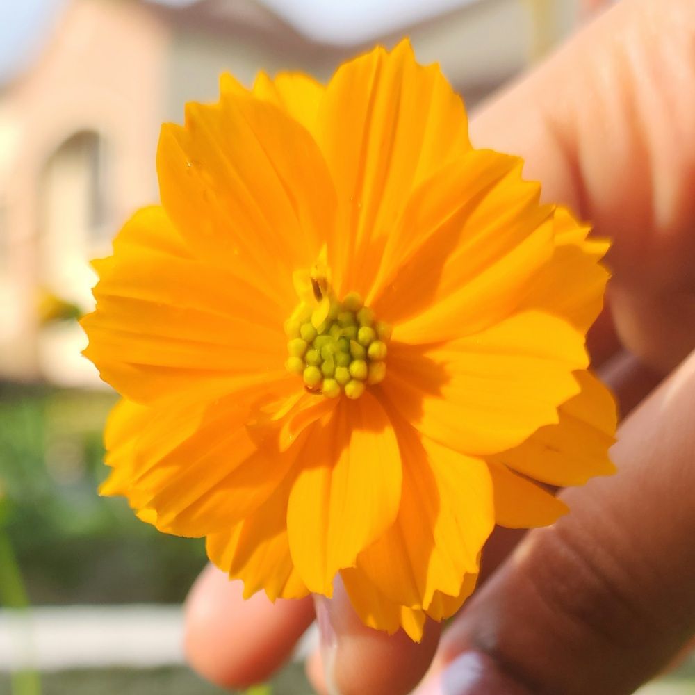 Фотография автора Hepzibah Guna Sakaran