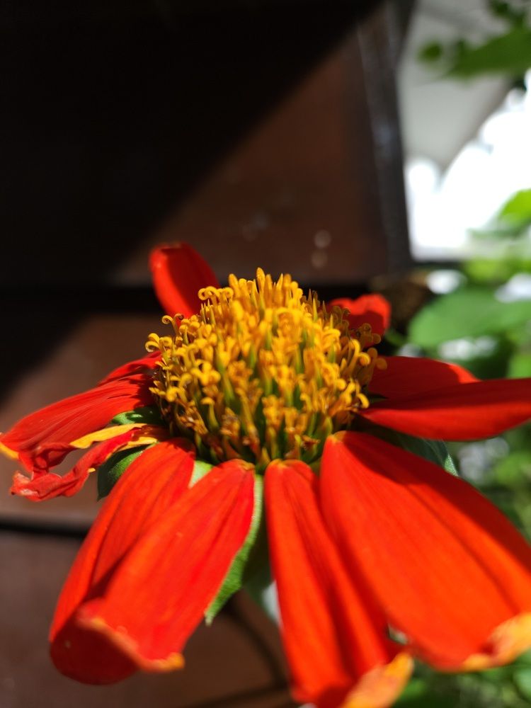 Фотография автора Hepzibah Guna Sakaran