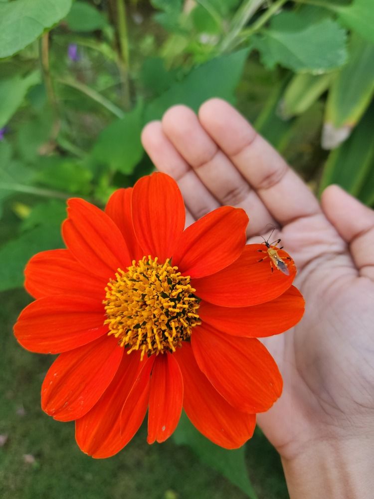 Фотография автора Hepzibah Guna Sakaran