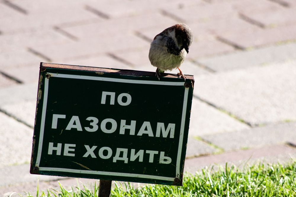 Photograph by Евгений Кузьмин