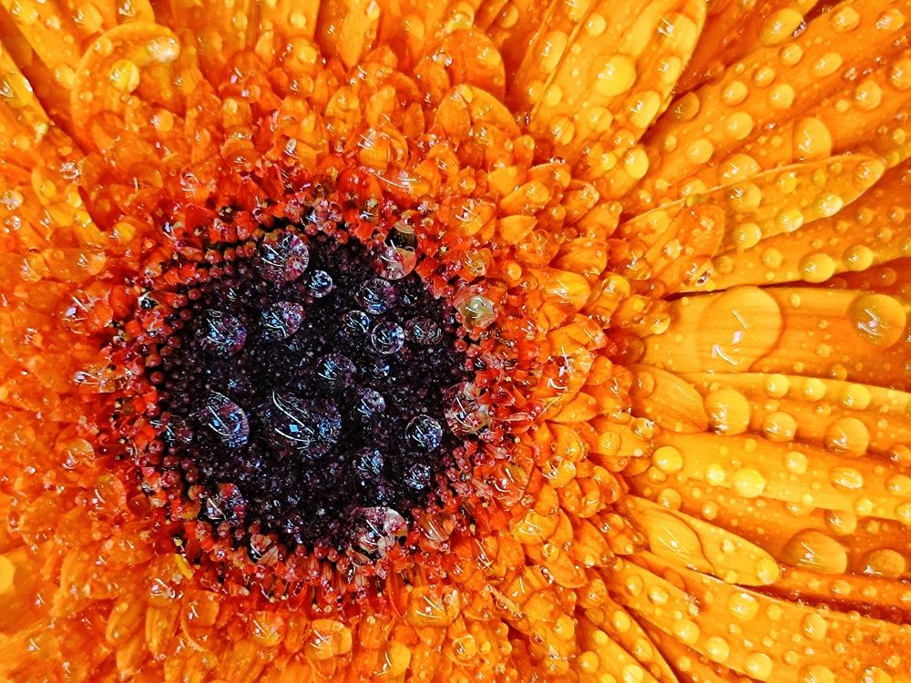 Photograph by Patrícia cruz