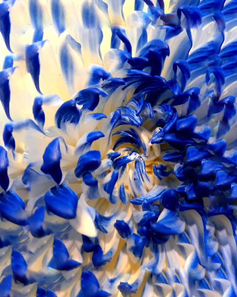 Photograph by Patrícia cruz