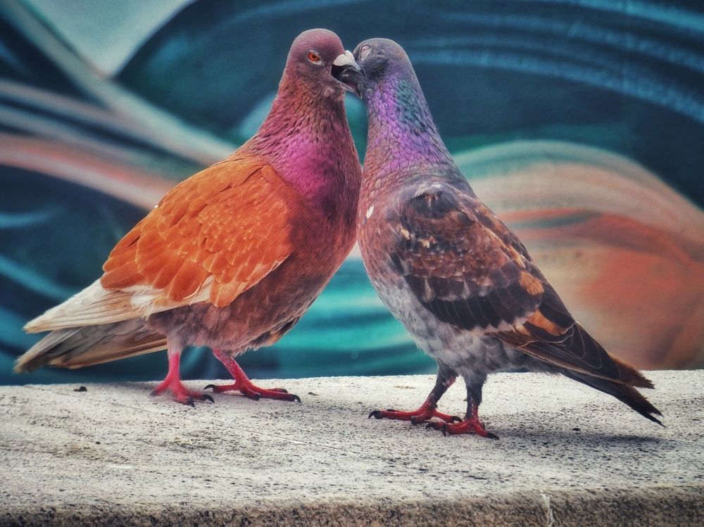 Photograph by Patrícia cruz