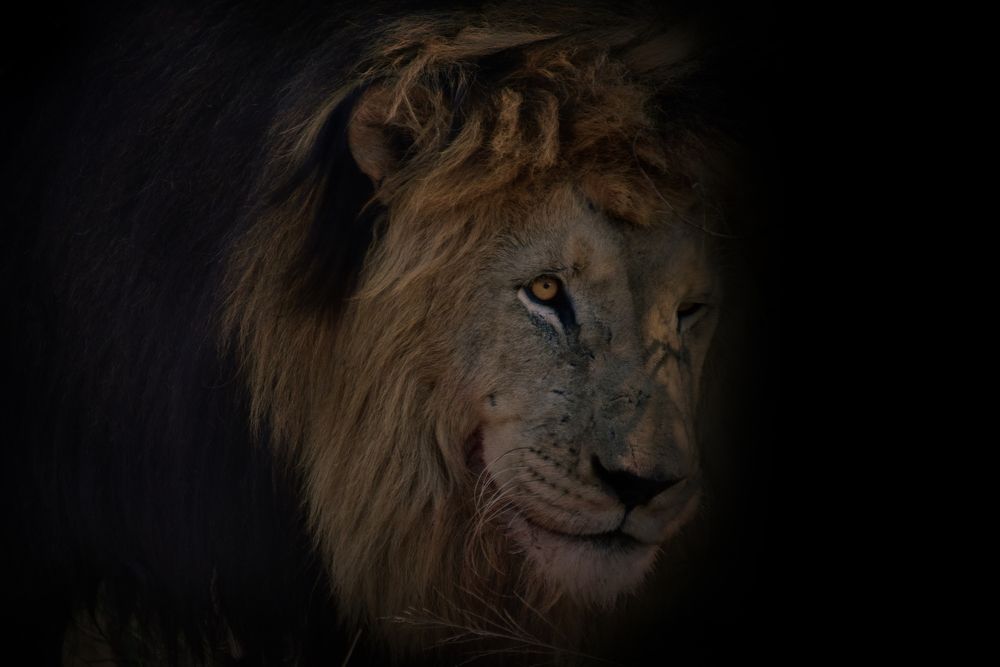 Photograph by Tanja Wolfaardt