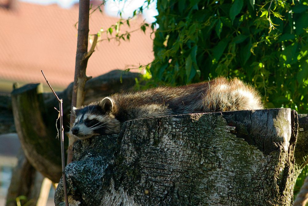 Photograph by Виктория Уварова