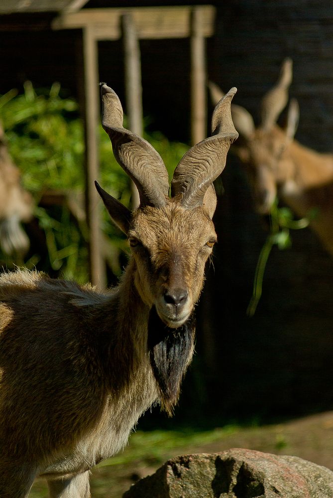 Photograph by Виктория Уварова