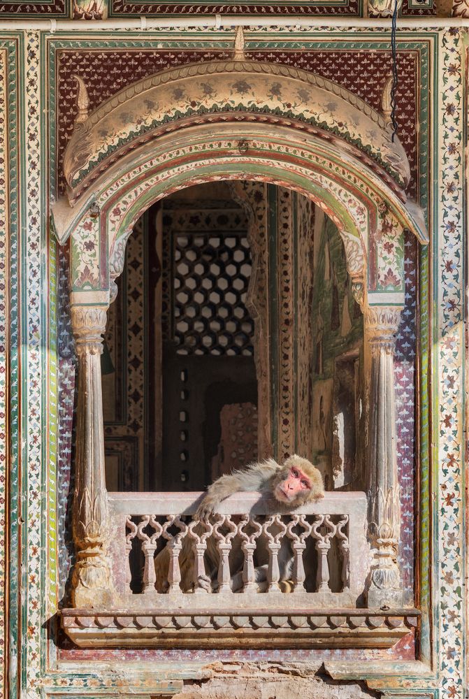 Photograph by Эрнест Вахеди