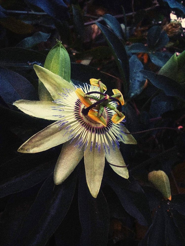 Photograph by Даниил Петруненко