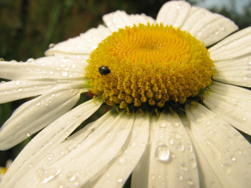 Photograph by Андрей Митькин