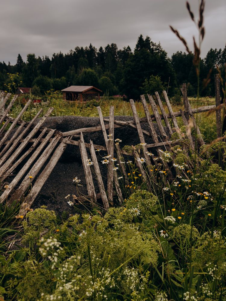 Photograph by Алиса Нежинская