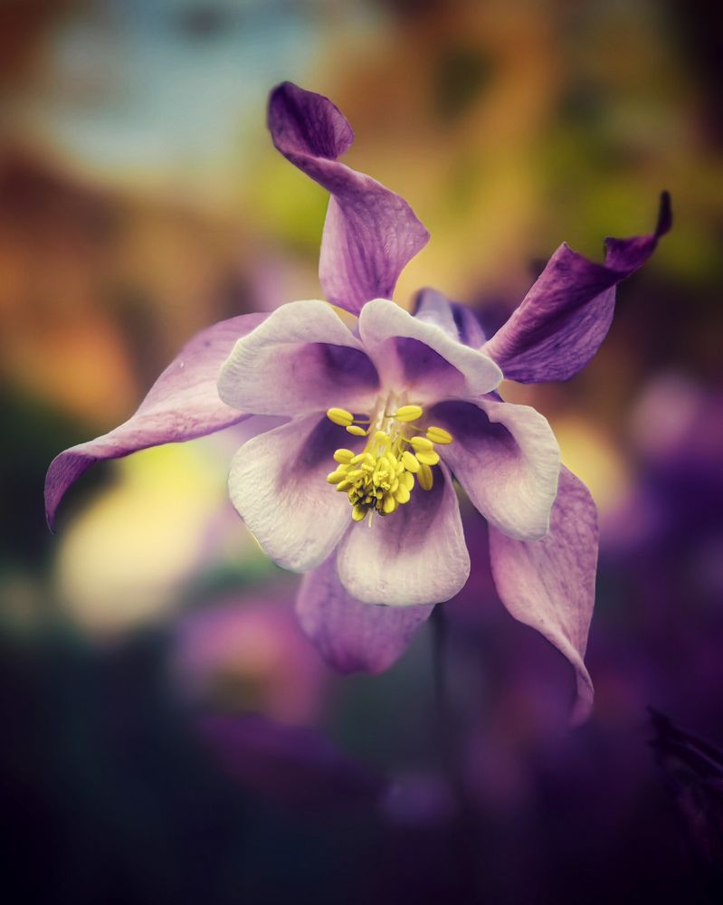 Photograph by Алексей Гуминский