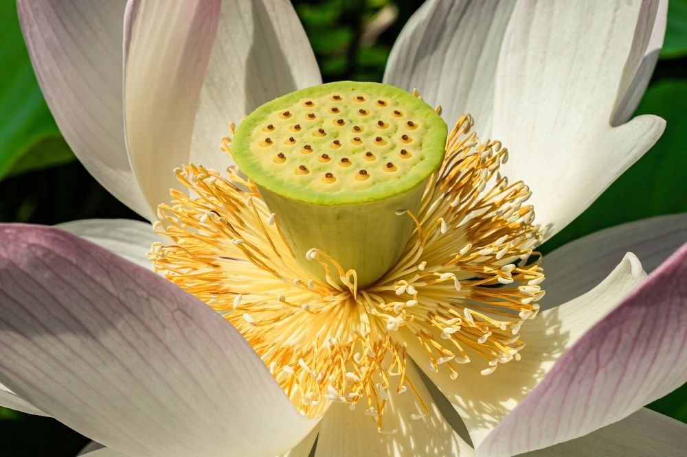 Photograph by Игорь Иванов