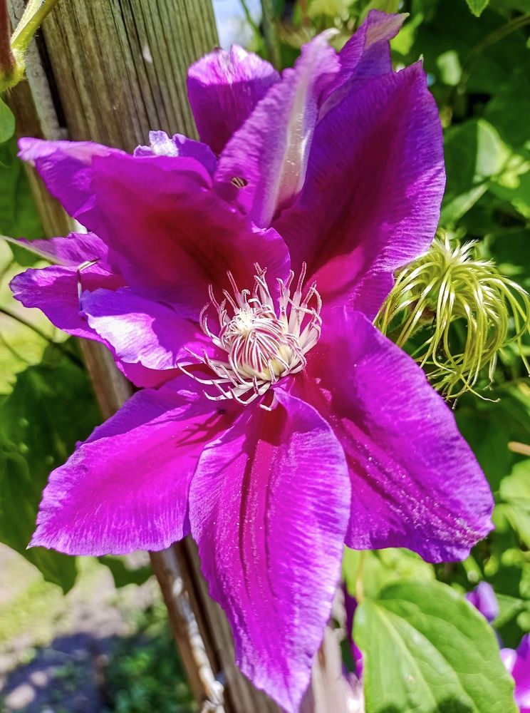 Photograph by Sergey Kurkov-Tarkovsky