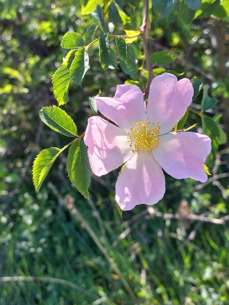 Photograph by Людмила Сотникова