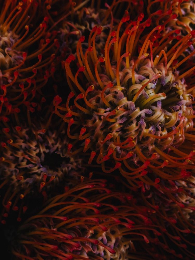 Photograph by Алиса Нежинская