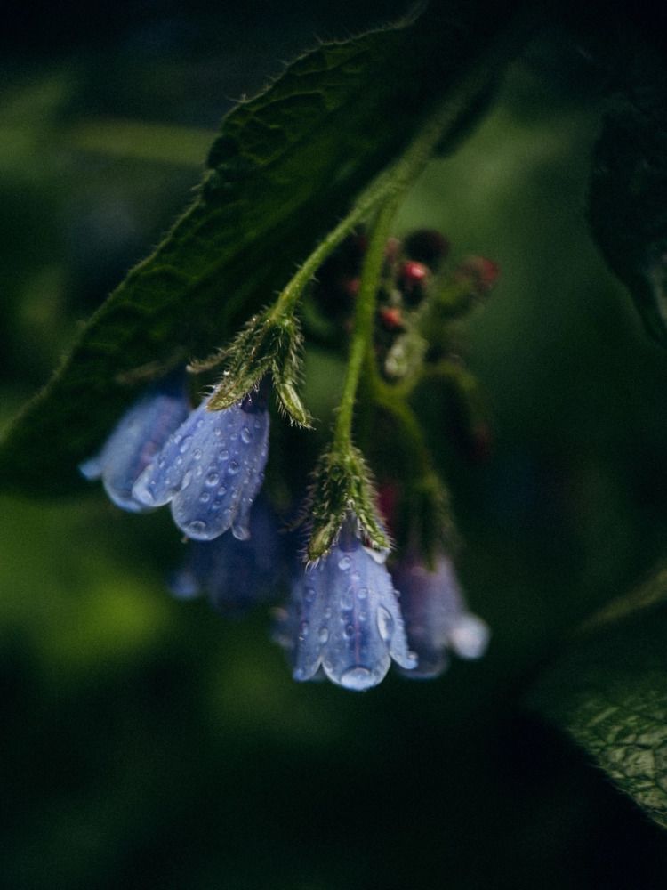 Photograph by Алиса Нежинская