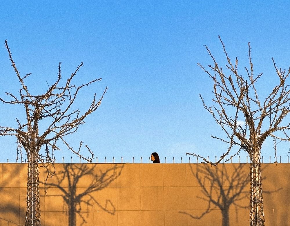 Photograph by Елена Шевченко