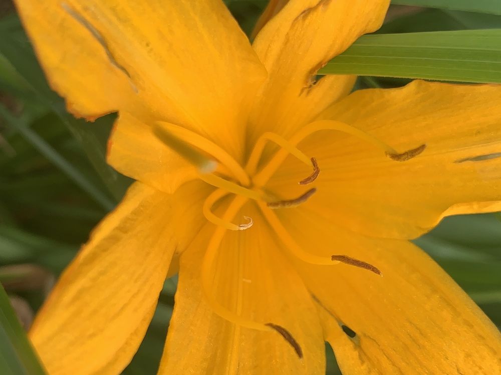 Photograph by гульназ замалеева