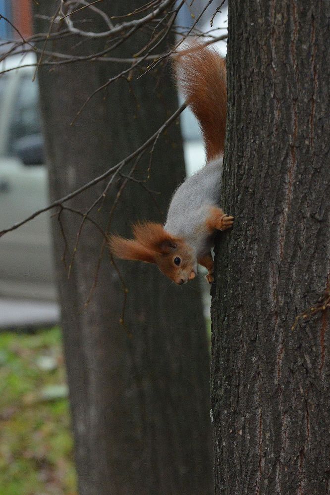 Photograph by Фарит Зиатдинов