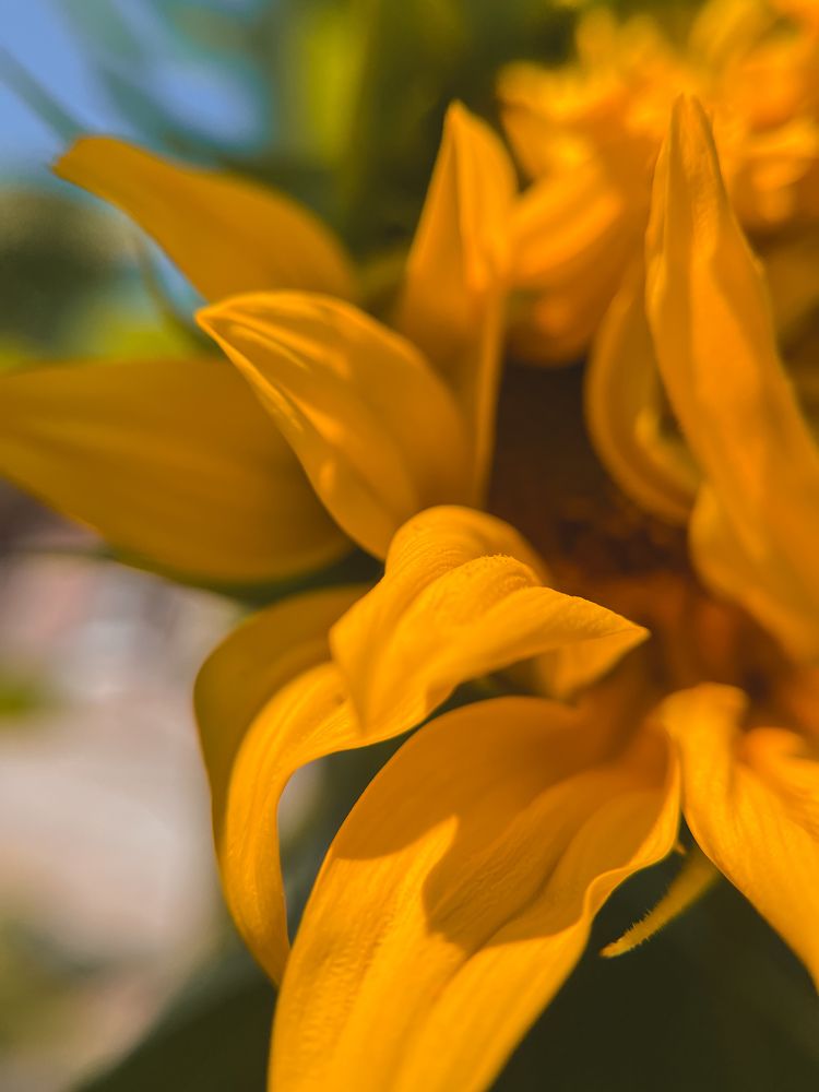 Photograph by Алиса Чугунова