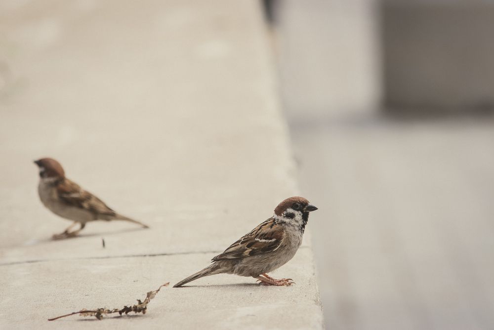 Photograph by Евгения Сенченко