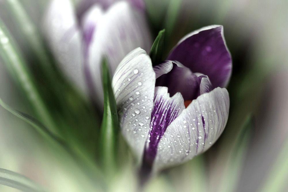 Photograph by Татьяна