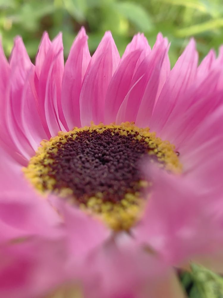 Photograph by Людмила Савчук