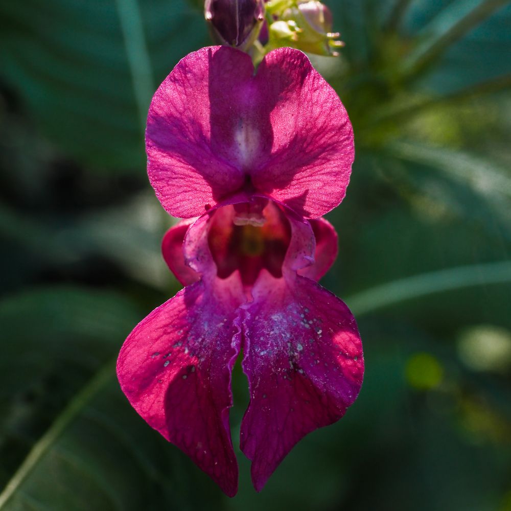 Photograph by Сергей Гаврилов