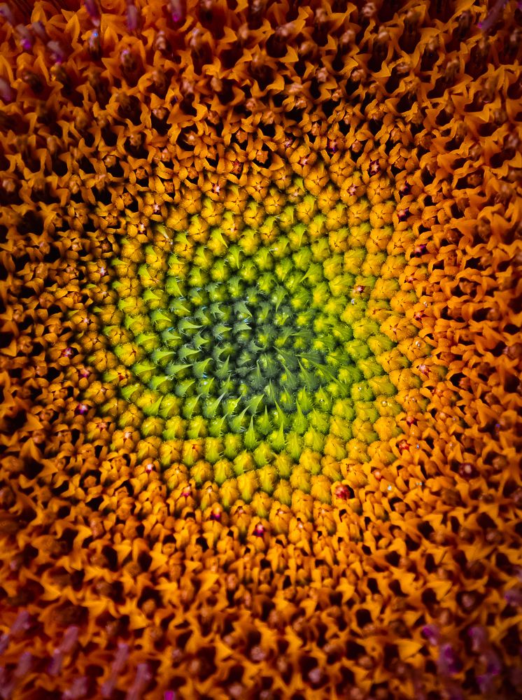 Photograph by Ярослав Старк