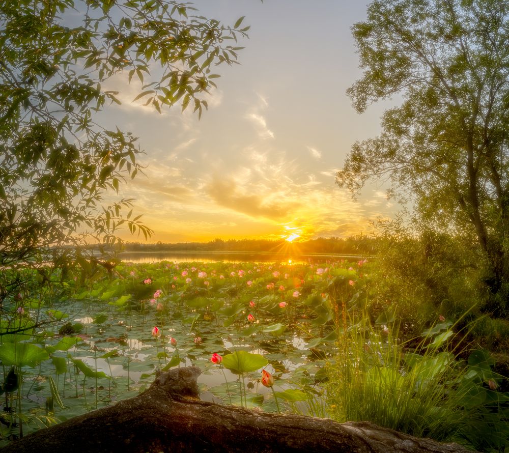 Photograph by Новиков Александр