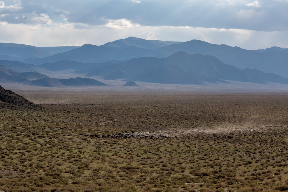 Photograph by Елена Данченко