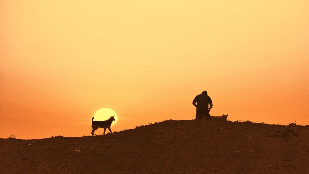 Фотография автора Washiful Majid