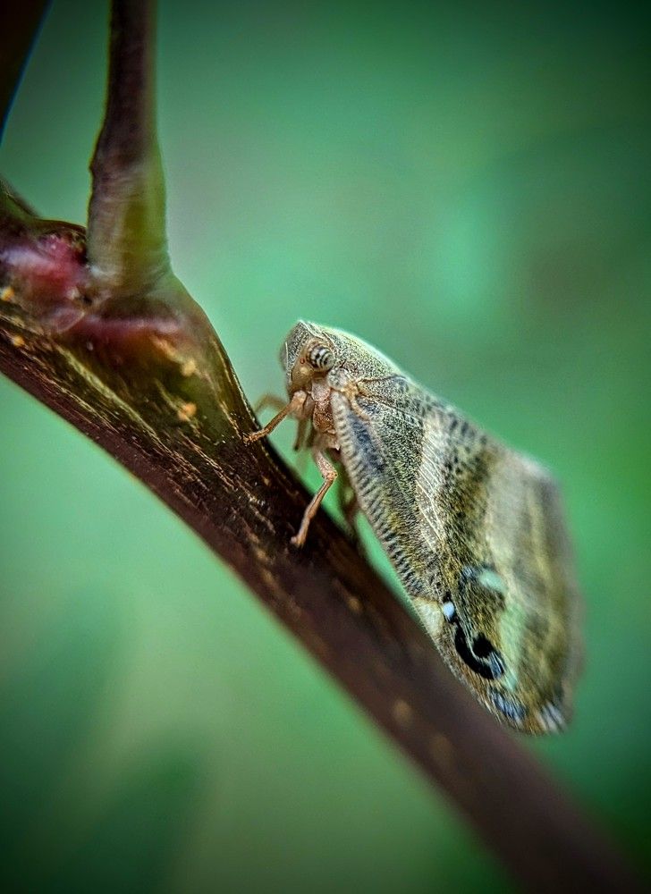 Photograph by AlexaL