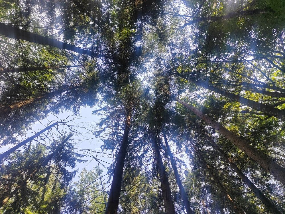 Photograph by Сергей Беляев