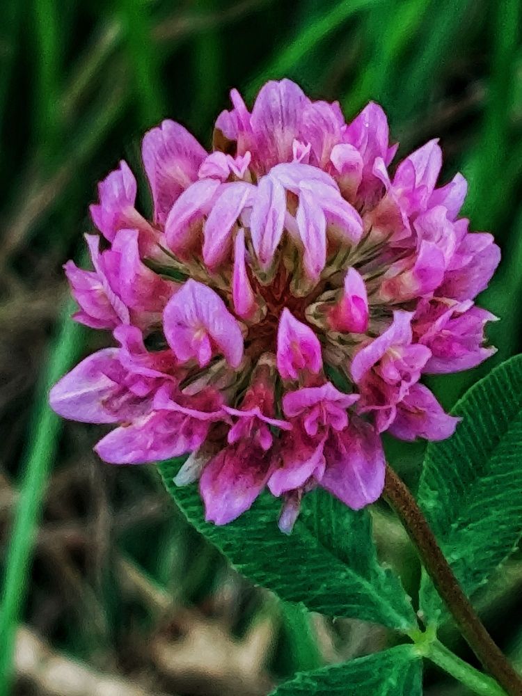 Photograph by Ирина Горбач