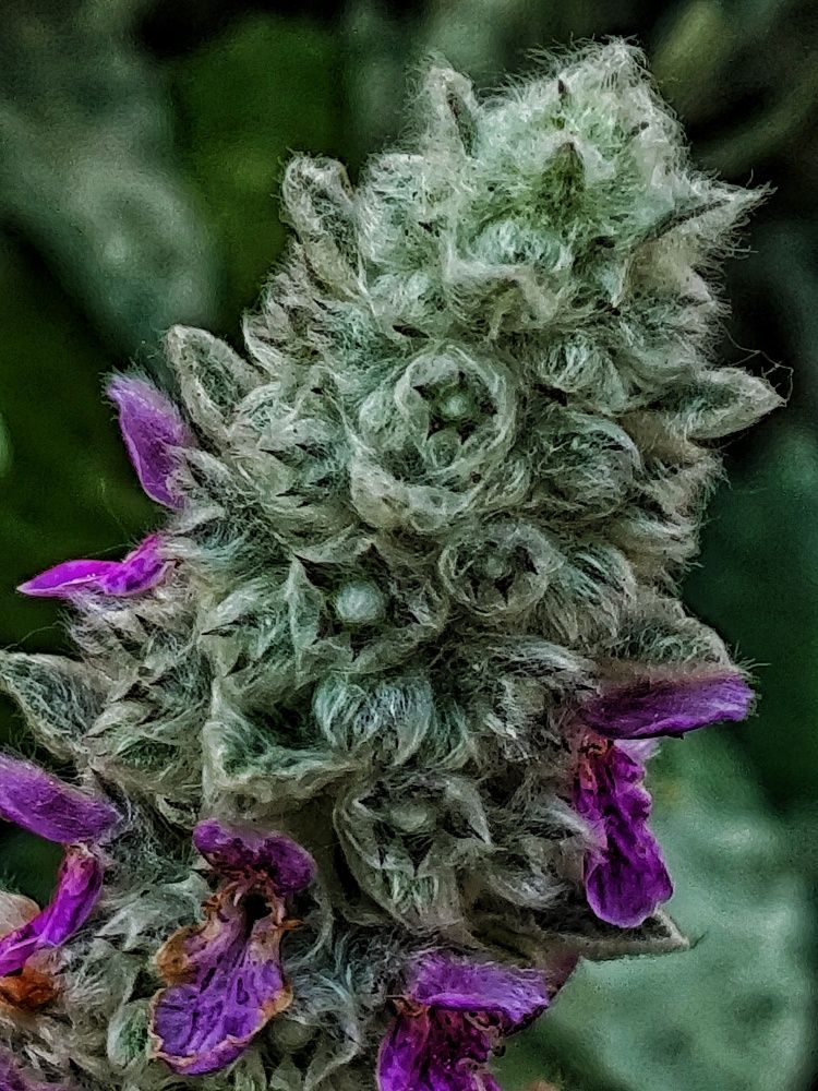 Photograph by Ирина Горбач