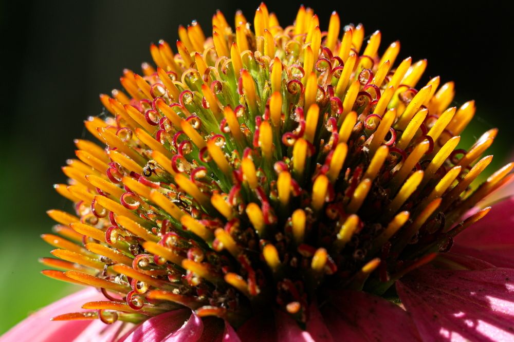 Photograph by Борис Лишневский