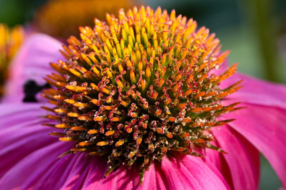 Photograph by Борис Лишневский