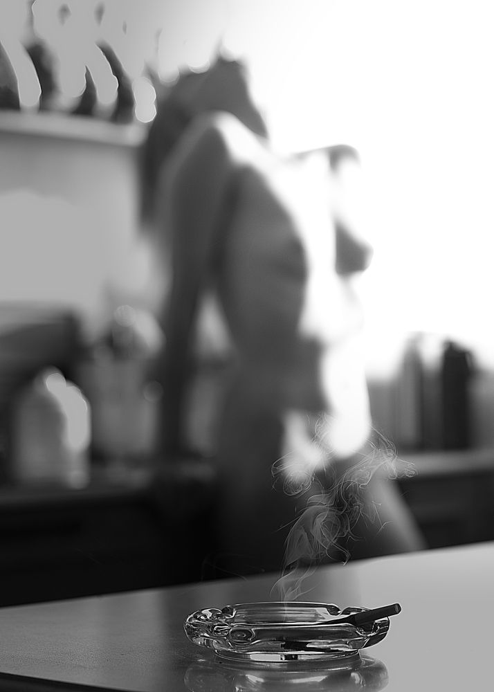 Photograph by Alex Darash