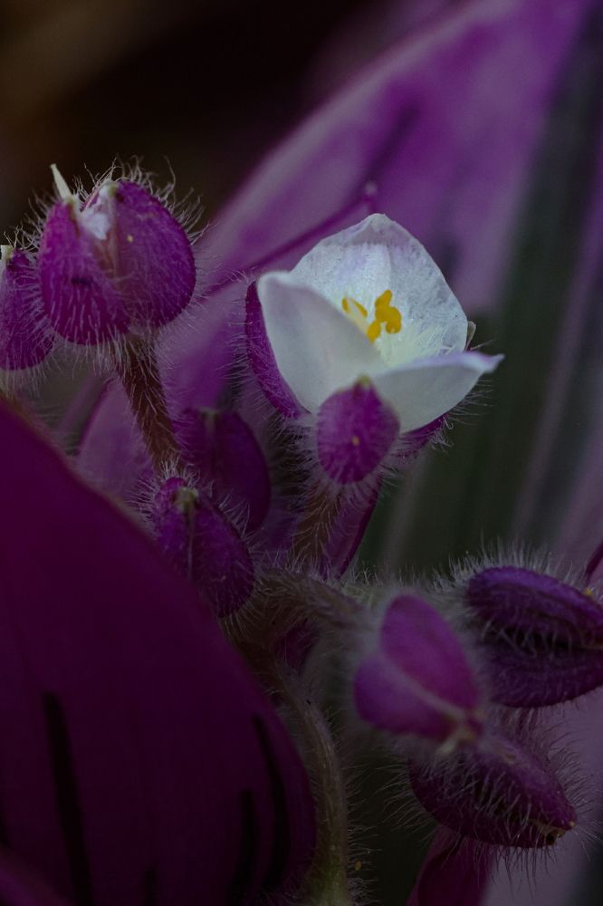 Photograph by Борис Лишневский