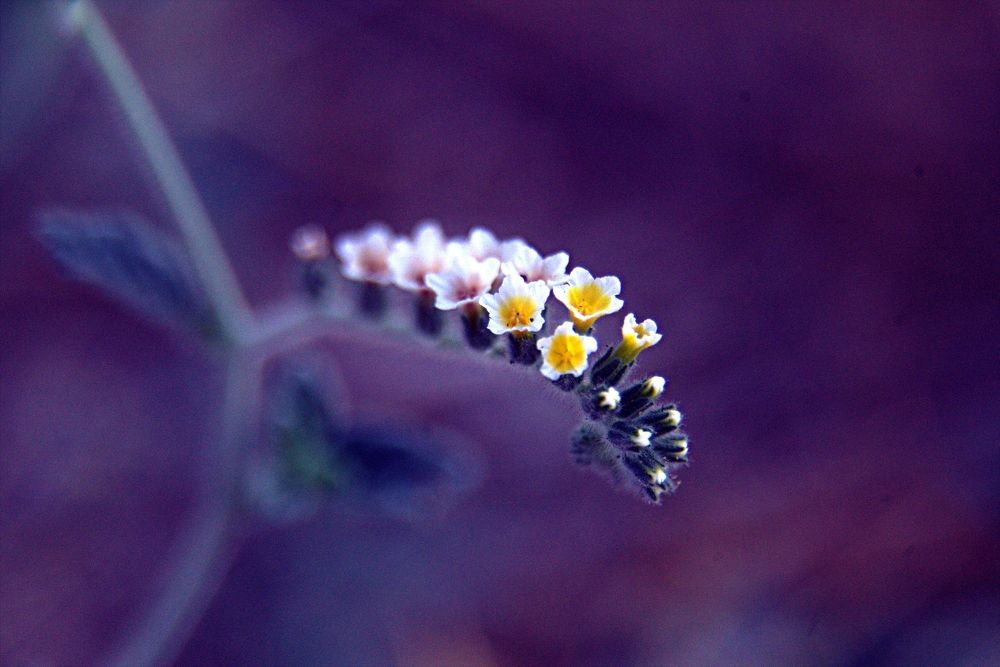 Photograph by Сергей Рапопорт