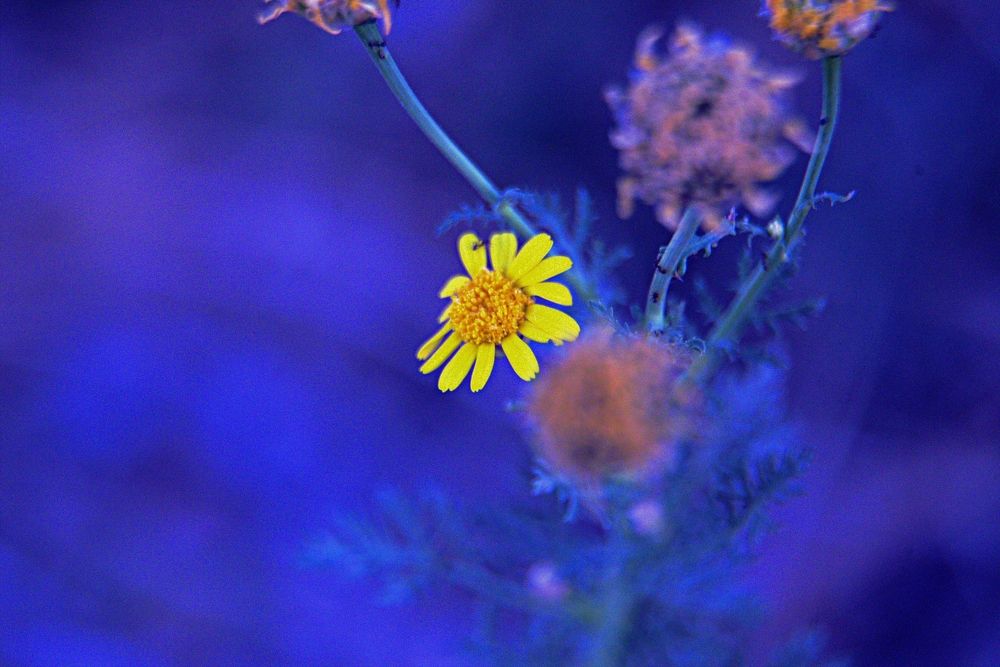 Photograph by Сергей Рапопорт