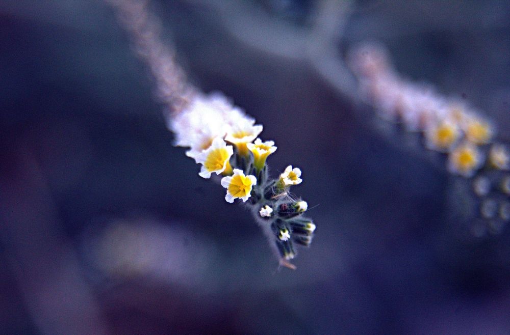 Photograph by Сергей Рапопорт