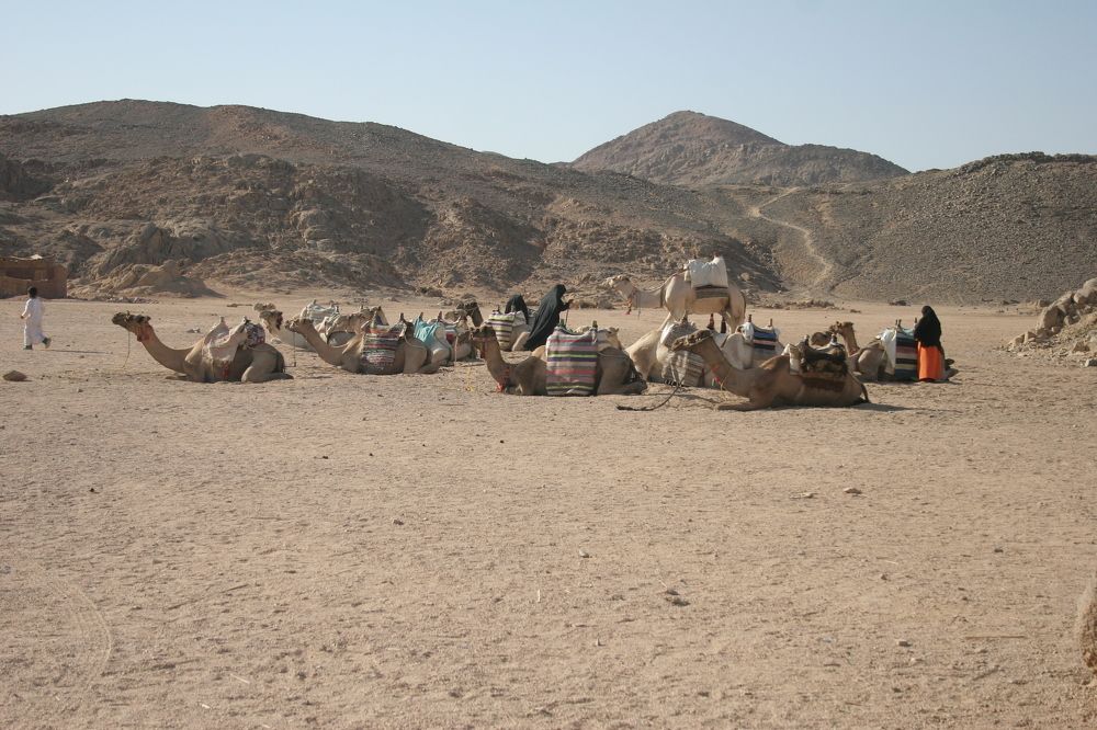 Photograph by Пётр Соколов