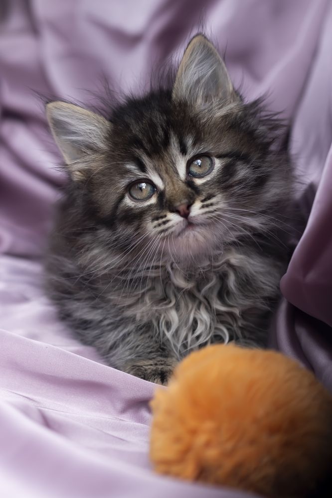 Photograph by Любовь Алексеева