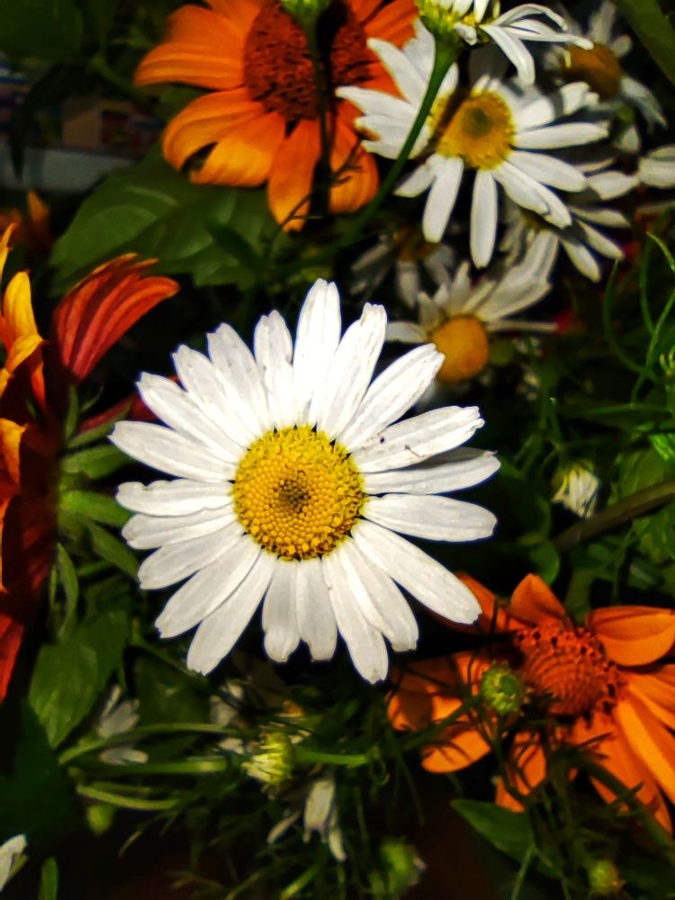 Photograph by Анна Напримерова